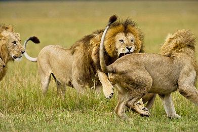 《工业巨擘4.0》现已进入抢先体验阶段 宣传片发布